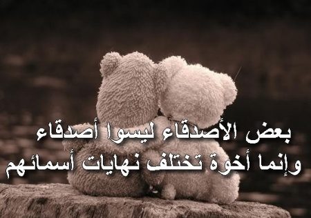 صور اصدقاء للابد - صور معبرة عن الصداقة 3646 6