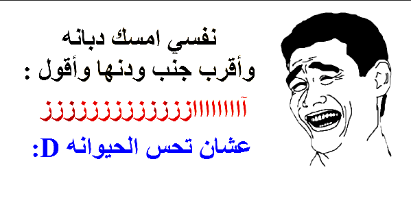 نكت مضحكة جدا جدا جدا - اضحك من قلبك 3212 2