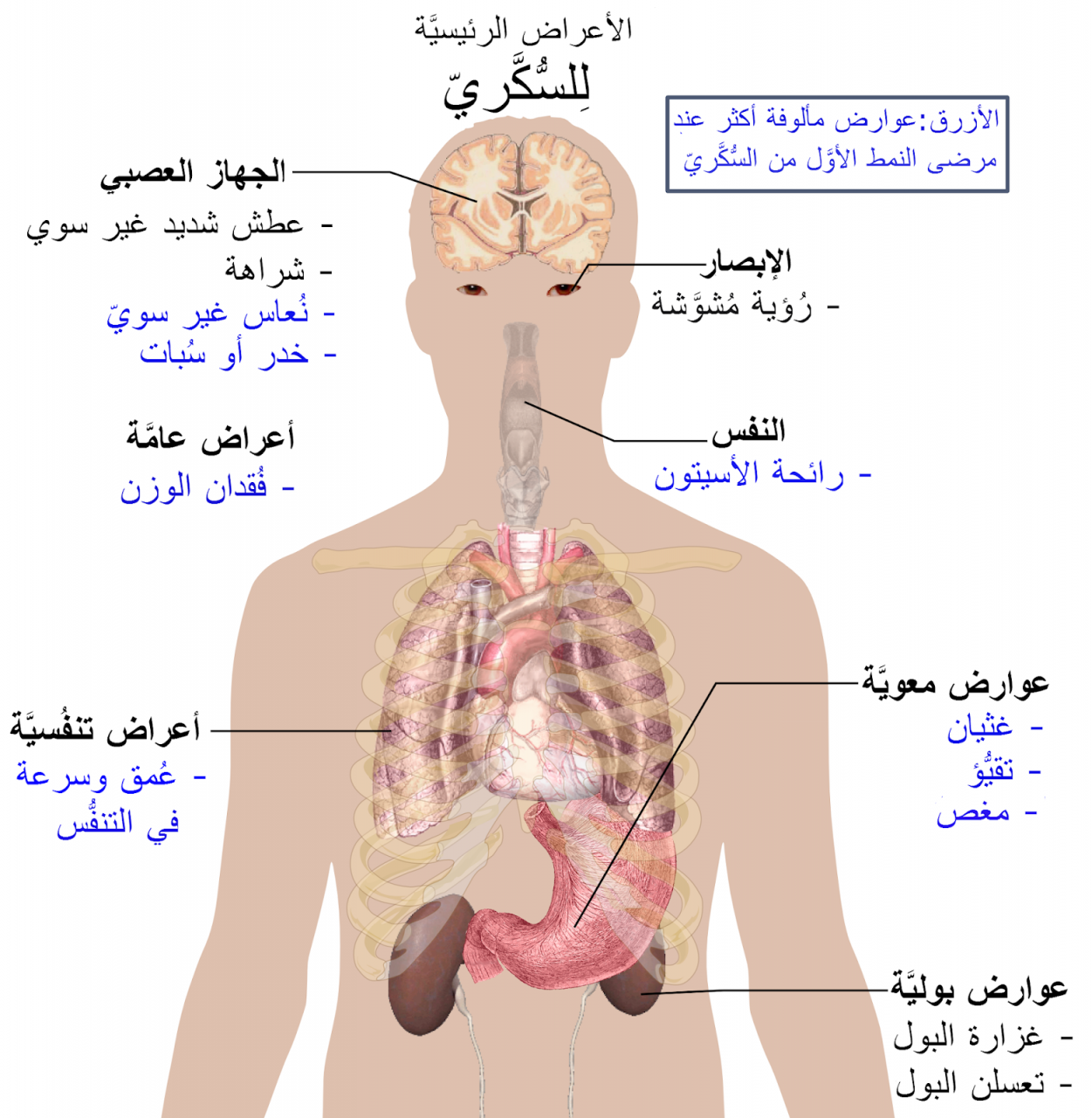 ما هي عوارض السكري - مرض السكر ومخاطره 1774