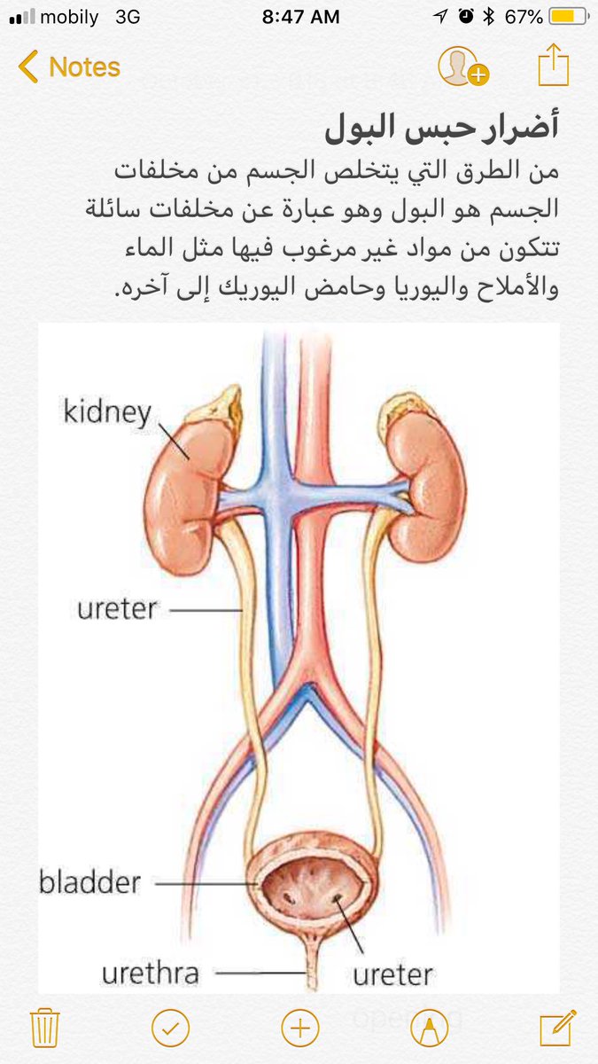 مش معقول صور لأضرار حبس التبول للسيدات-اضرار حبس البول 374 2