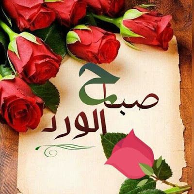 صور صباح الخير حبيبتي - صباحك ورد على عيونك 1523 11