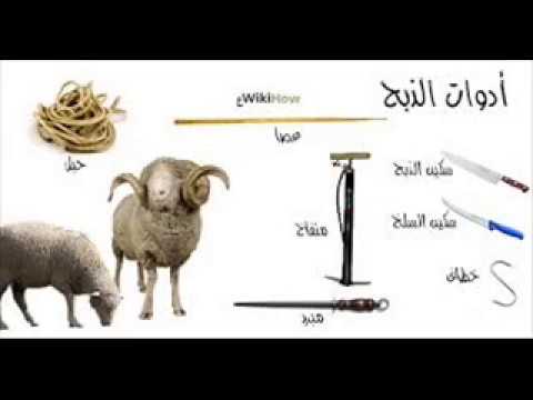 الدعاء عند ذبح الاضحيه - المستحب قوله عند ذبح الحيوانات 3912 2