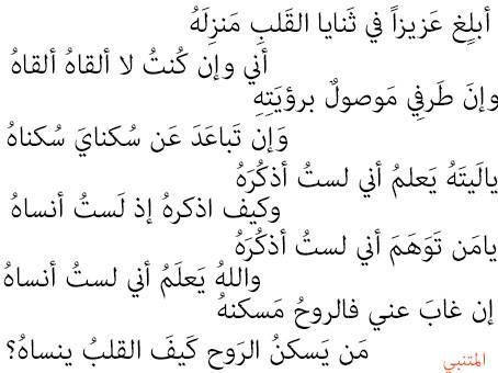 ابيات شعر للمتنبي عن الاخلاق 170 5