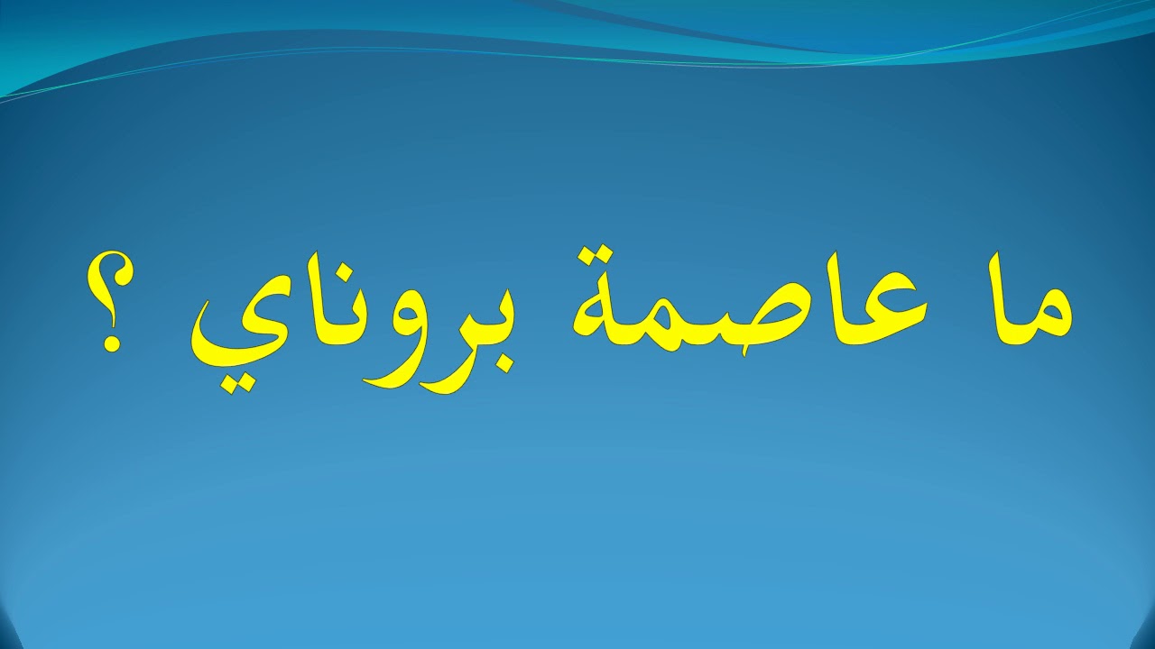 مش ممكن جمال صور عاصمة بروناى-ما هي عاصمة بروناي 821