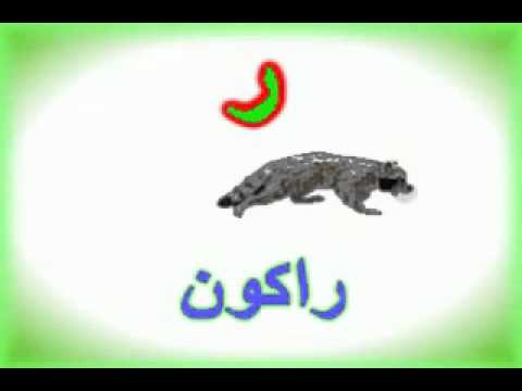 حيوان بحرف ر , زود حصيلتك في اسماء الحيوانات