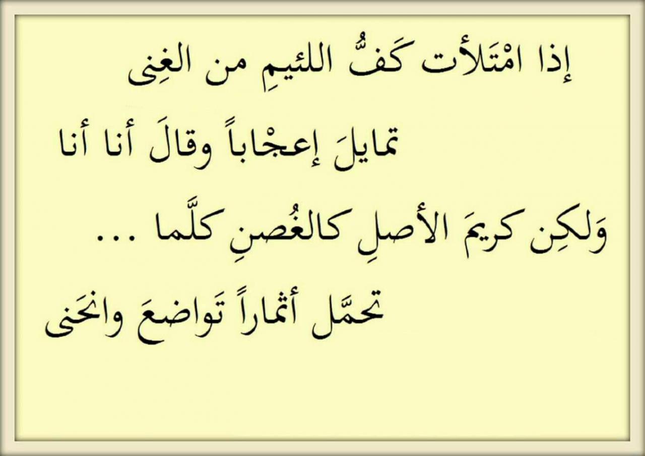 ما لا تعرفه عن شعراء العرب فى الجاهلية , اجمل ما قاله العرب