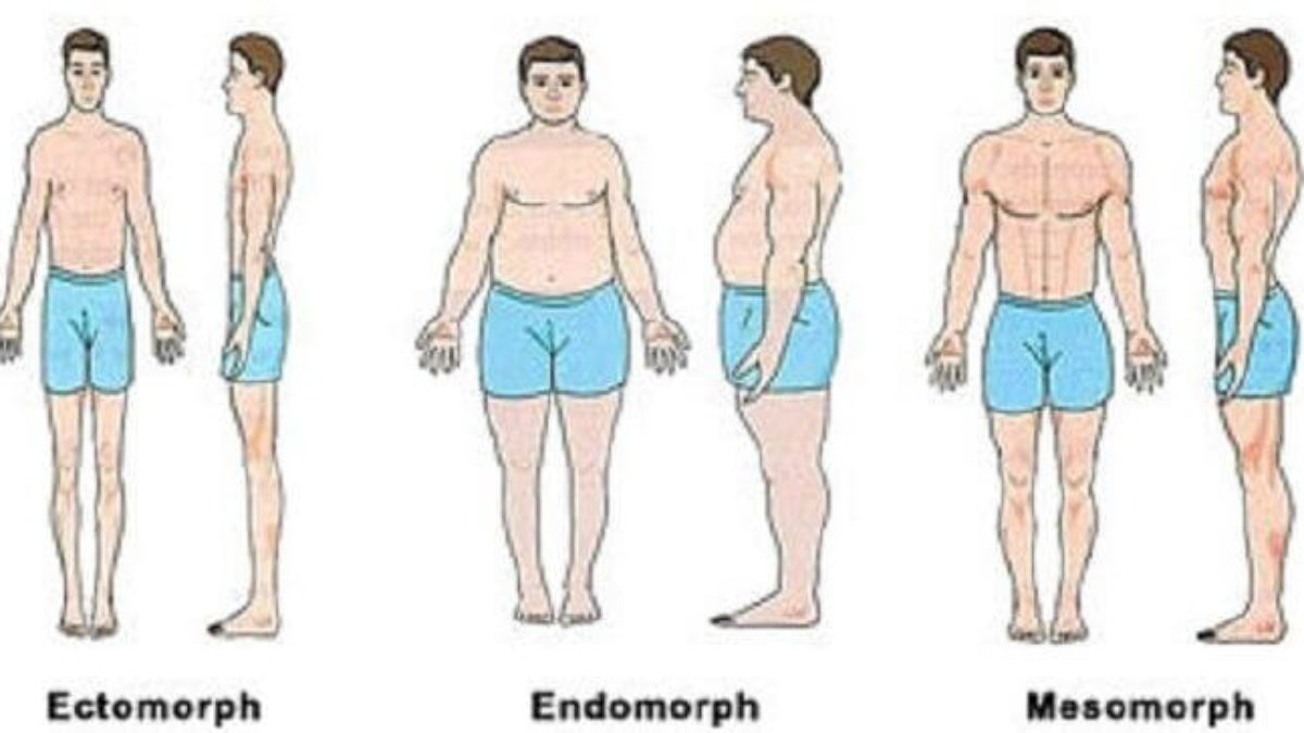 تعرفى على نوع جسم زوجك , انواع اجسام الرجال