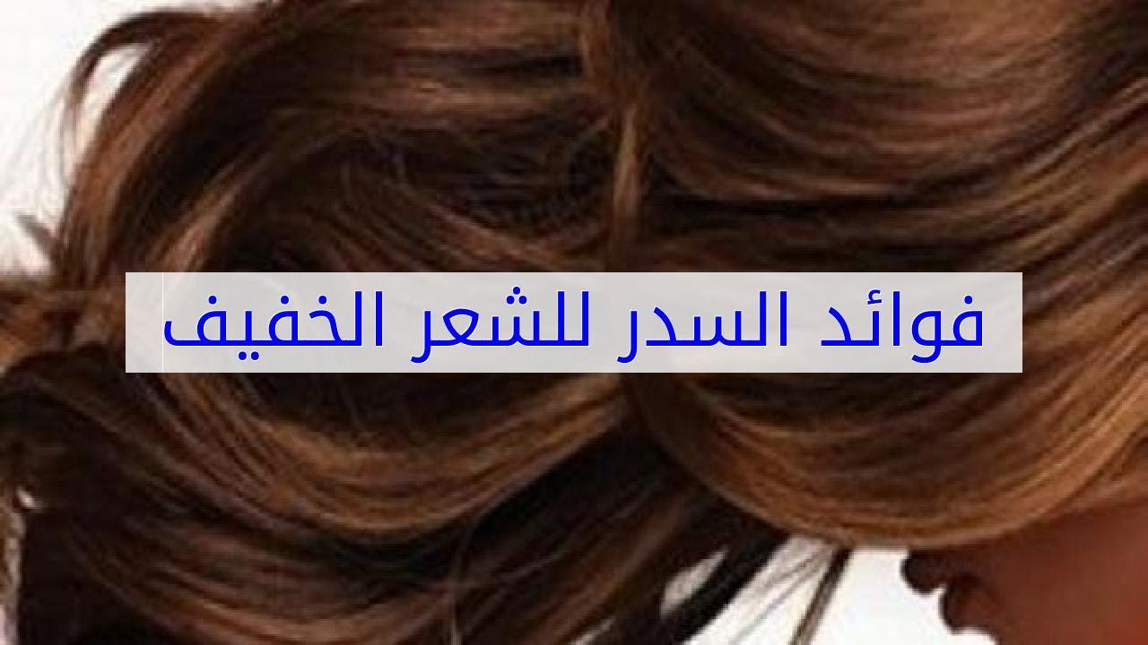 فوائد السدر للشعر الخفيف - ورق السدر لكثافة الشعر