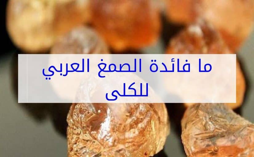 الصمغ العربي لعلاج الفشل الكلوي - افضل وصفة طبيعية للشفاء من الفشل الكلوى 1347 1