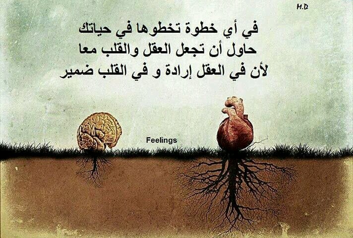 صور روعه حلوه - وصف ارقى المشاعر بالصور 2693 12