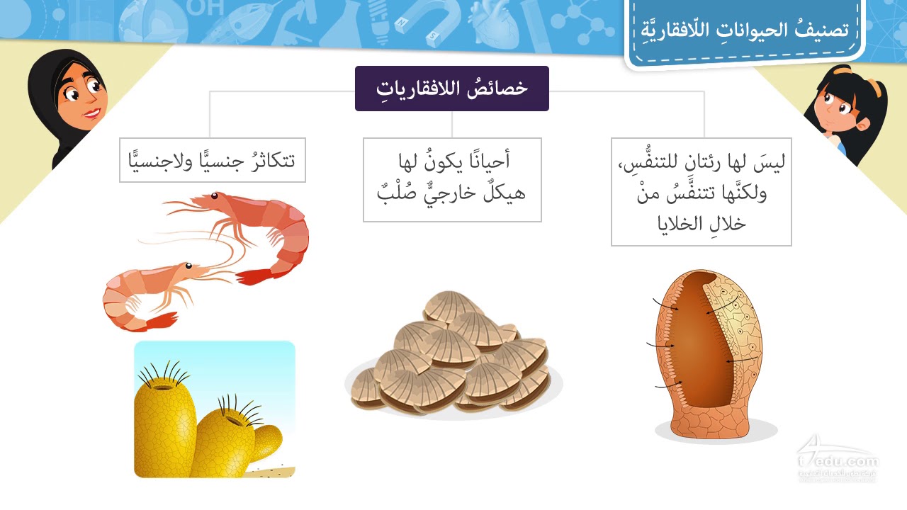 الحيوانات الفقارية واللافقارية , الحيوانات تتعايش كيفما خلقها الله