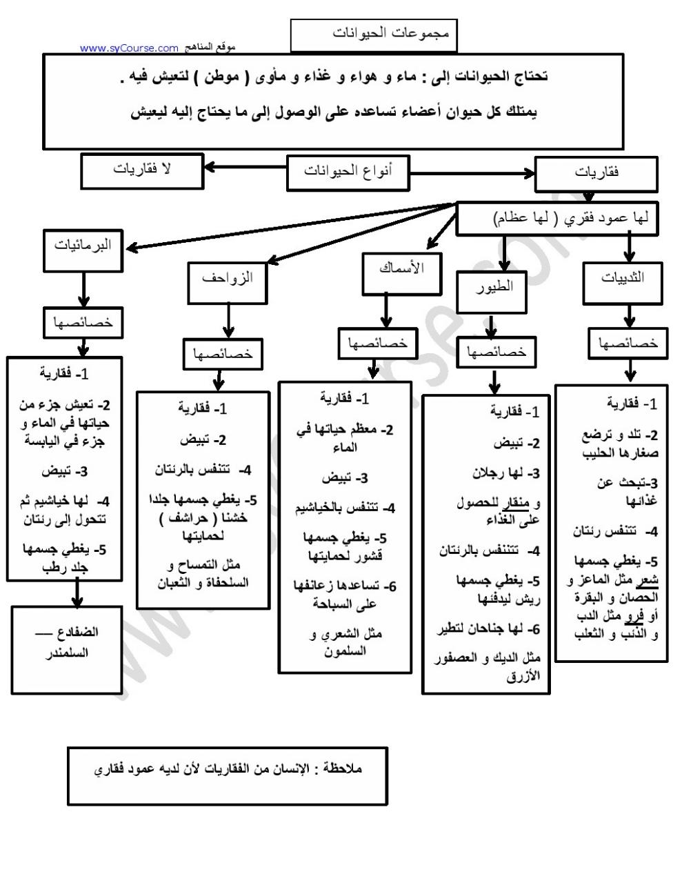 الحيوانات الفقارية واللافقارية - الحيوانات تتعايش كيفما خلقها الله 2087 1