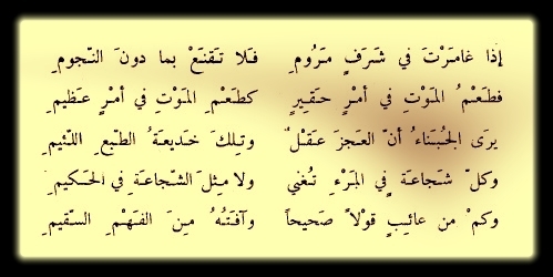 ابيات شعر للمتنبي عن الاخلاق 170 8