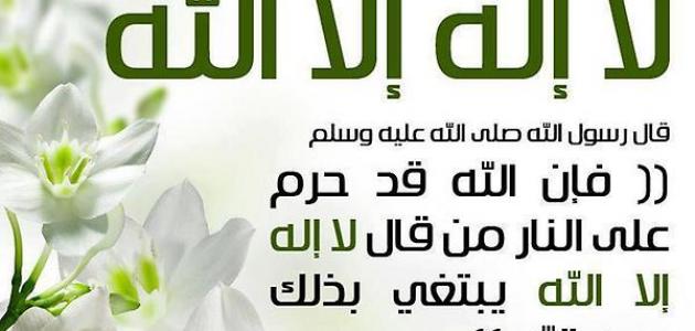 عبارات عن ذكر الله - اجمل كلام عن الله 2646 1