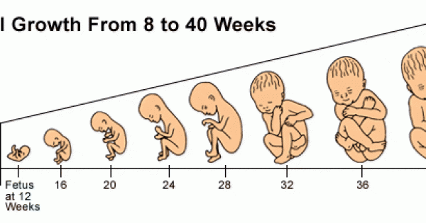 كم وزن الجنين في الشهر السابع , معلومات تهم كل حامل حزن و الم