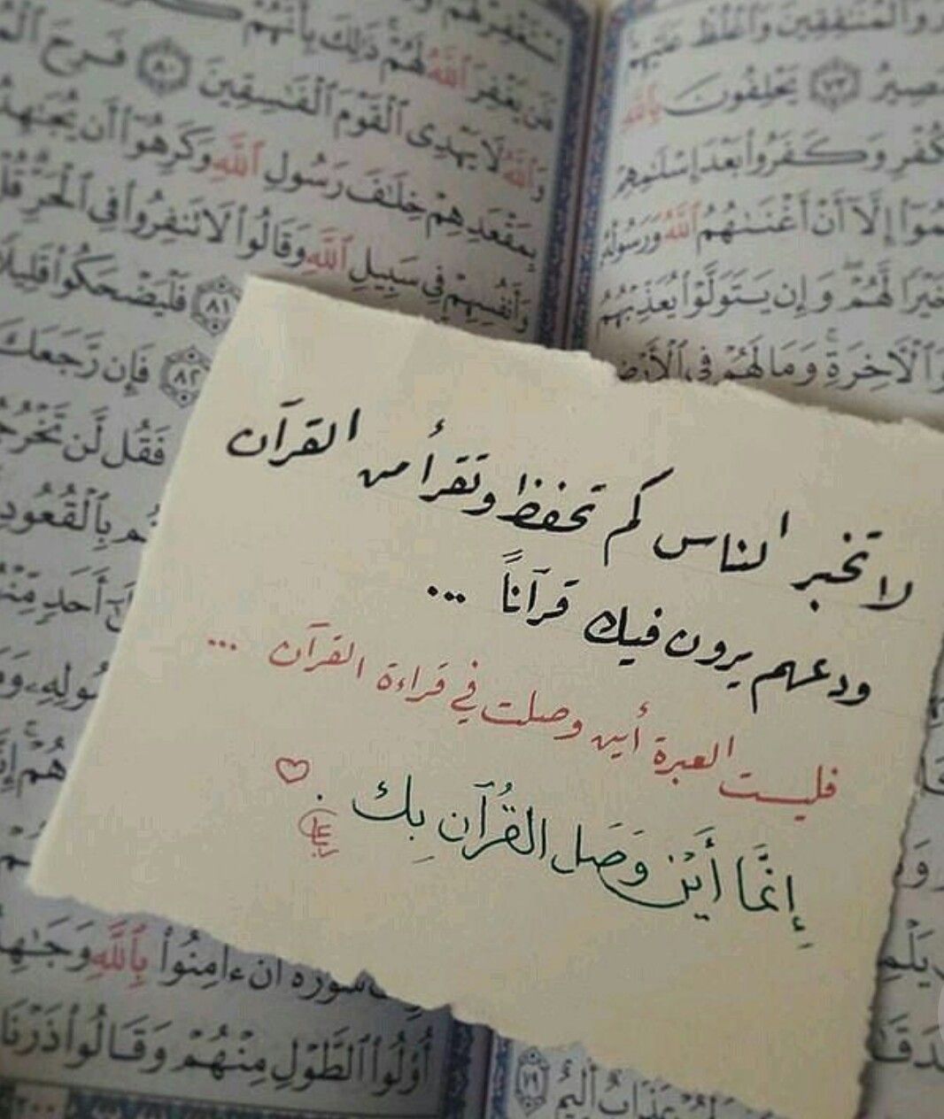 شعر عن القراءة