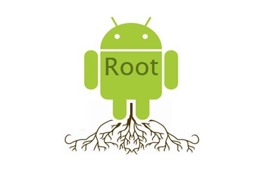 معنى كلمة root